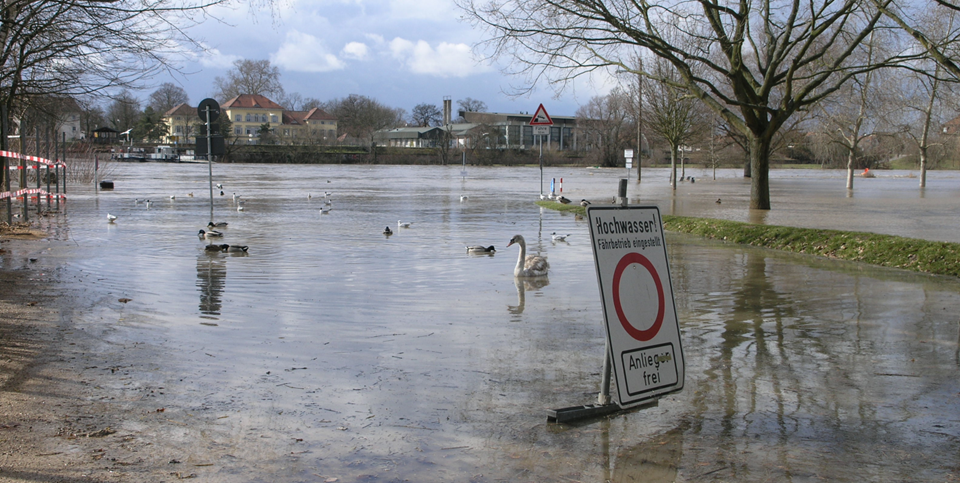 Neckar bei Ladenburg Hochwasser 2006