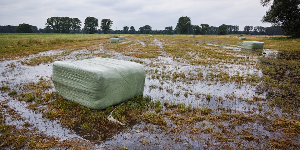 Hochwasser überschwemmt eine Grünfläche